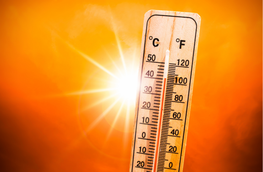 Peak Summer Demand